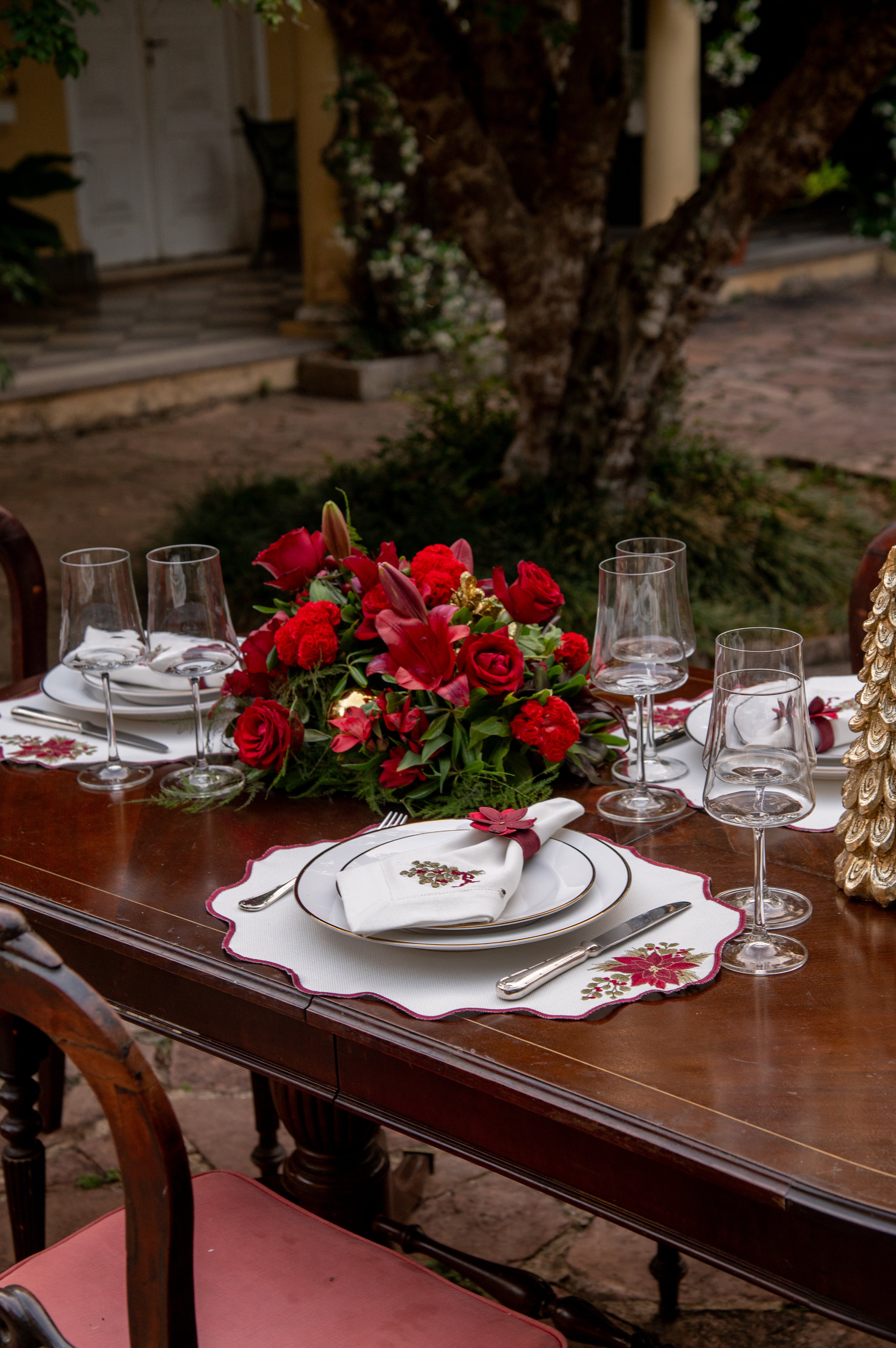 Lugar Americano Poinsétia de Natal