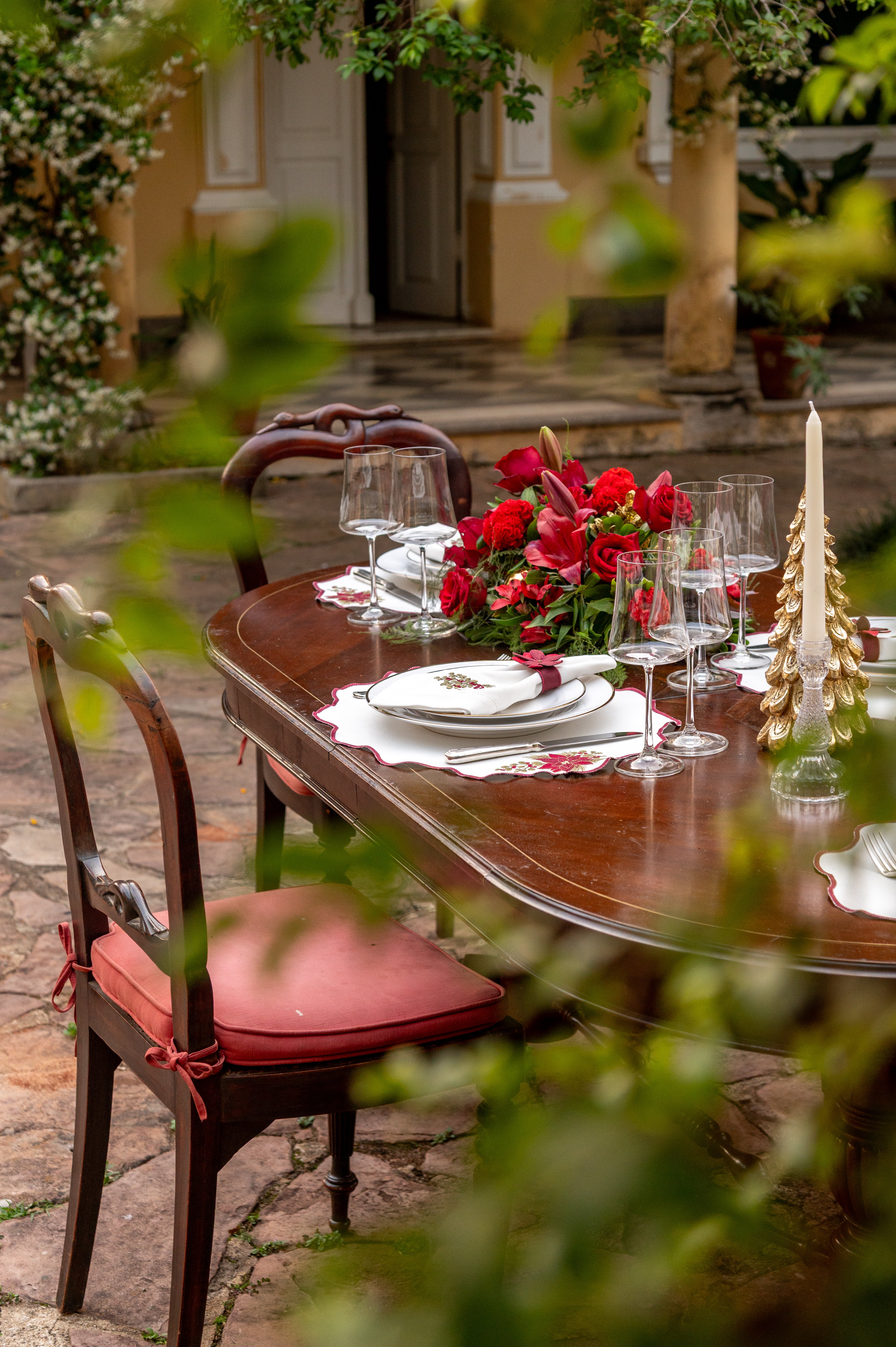 Lugar Americano Poinsétia de Natal