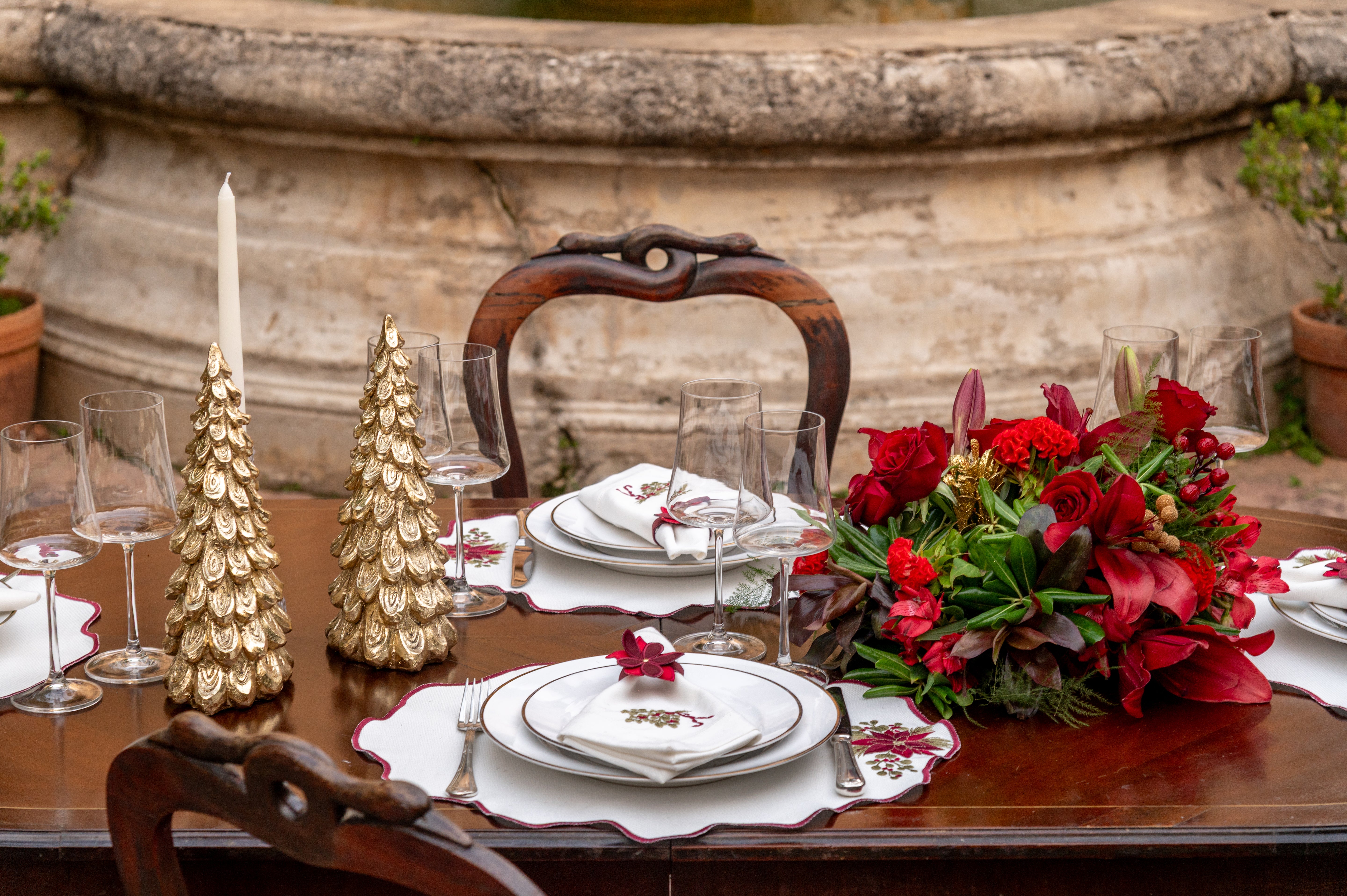 Lugar Americano Poinsétia de Natal