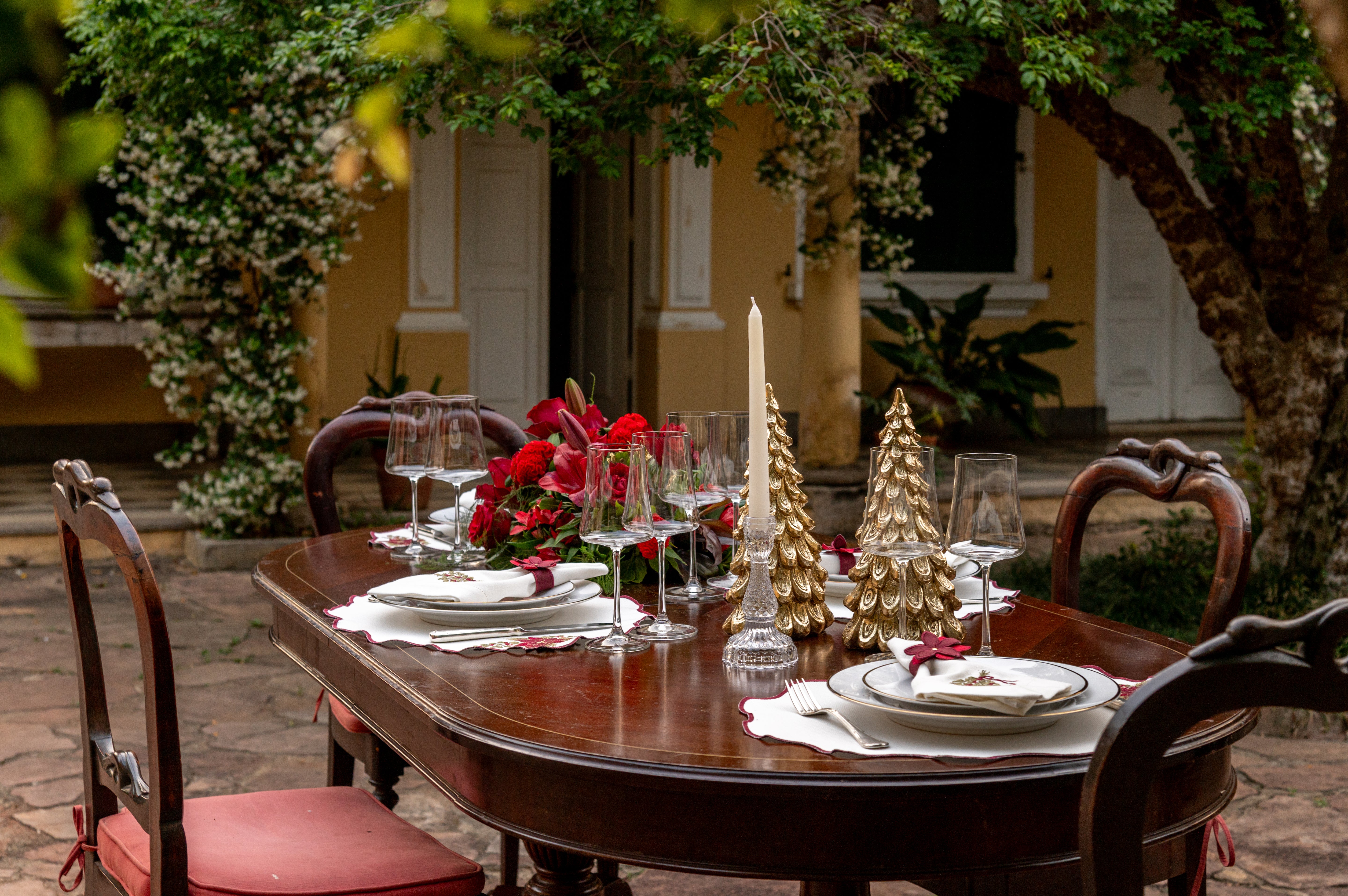 Lugar Americano Poinsétia de Natal